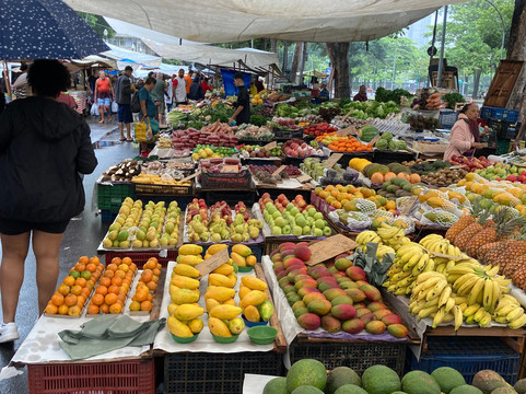 Rio Cultural Secrets Private Tours-里约热内卢必去景点