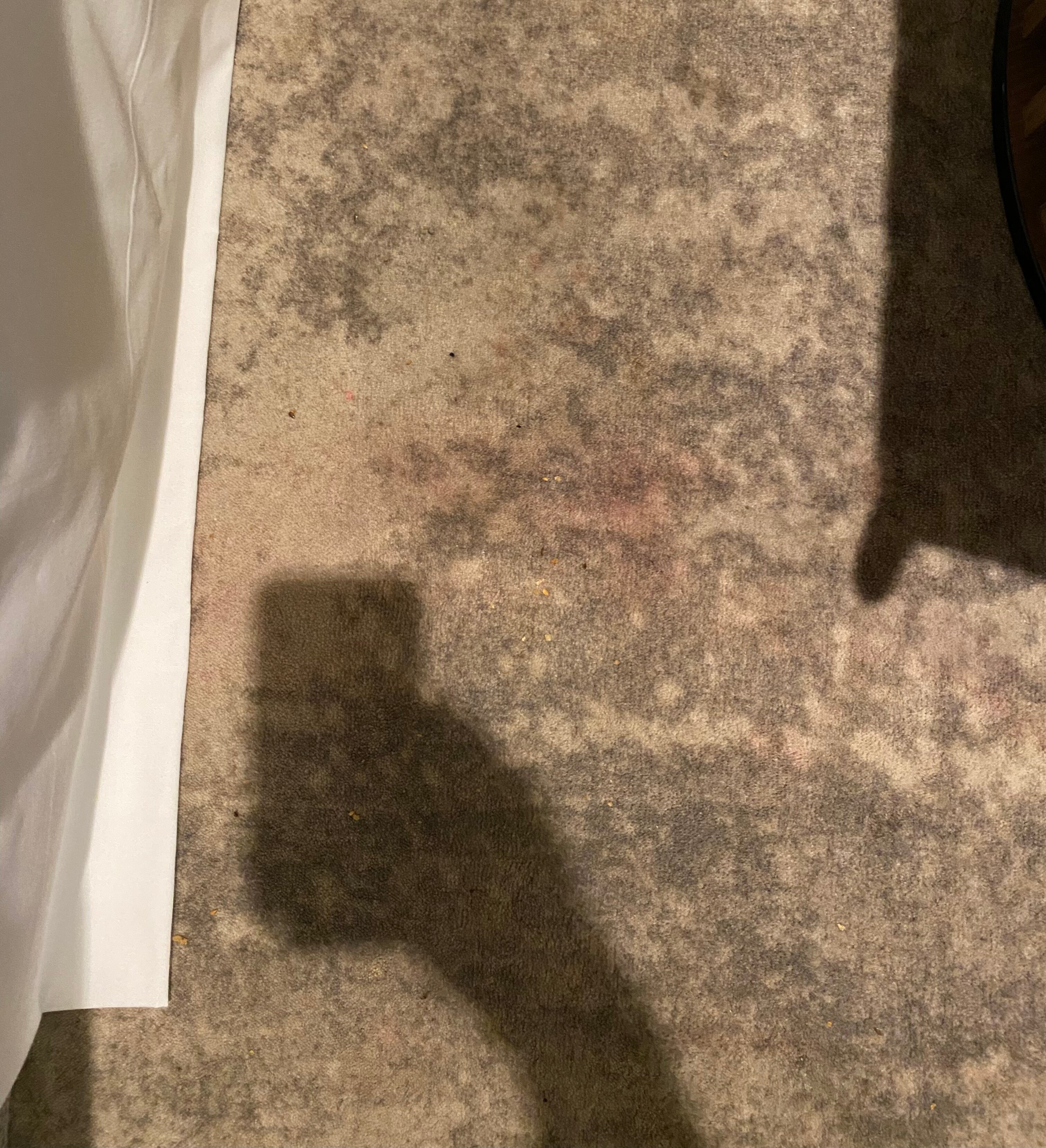 Royal Tulip Sand Kołobrzeg by Zdrojowa-官方