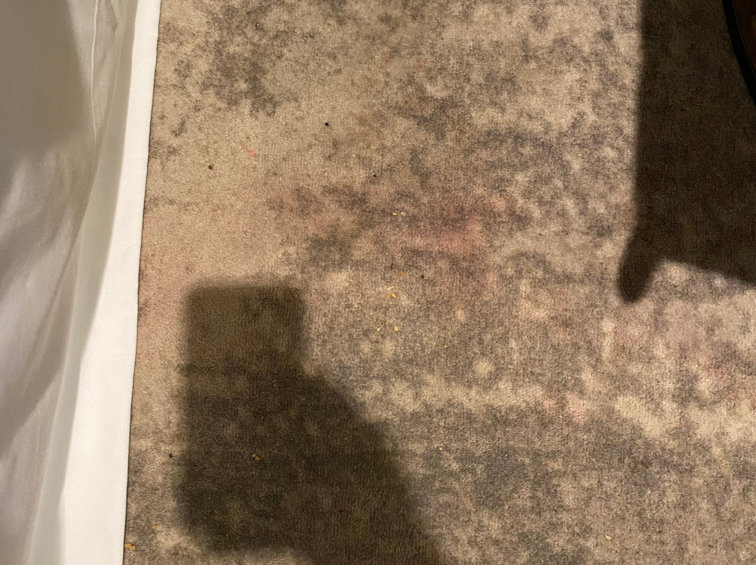 Royal Tulip Sand Kołobrzeg by Zdrojowa主图