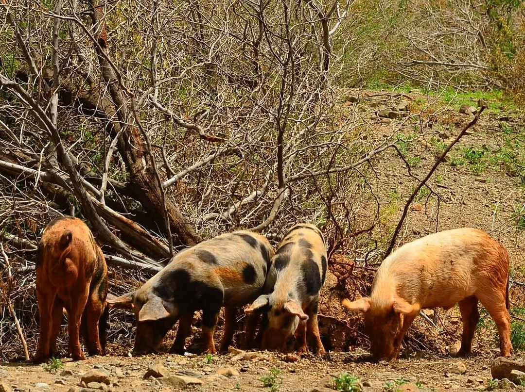 Fefetours-萨尔雷必去景点