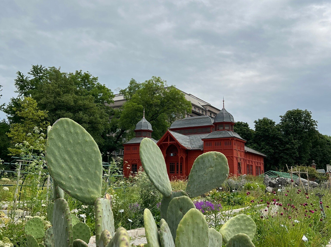 Botanical Garden-萨格勒布必去景点