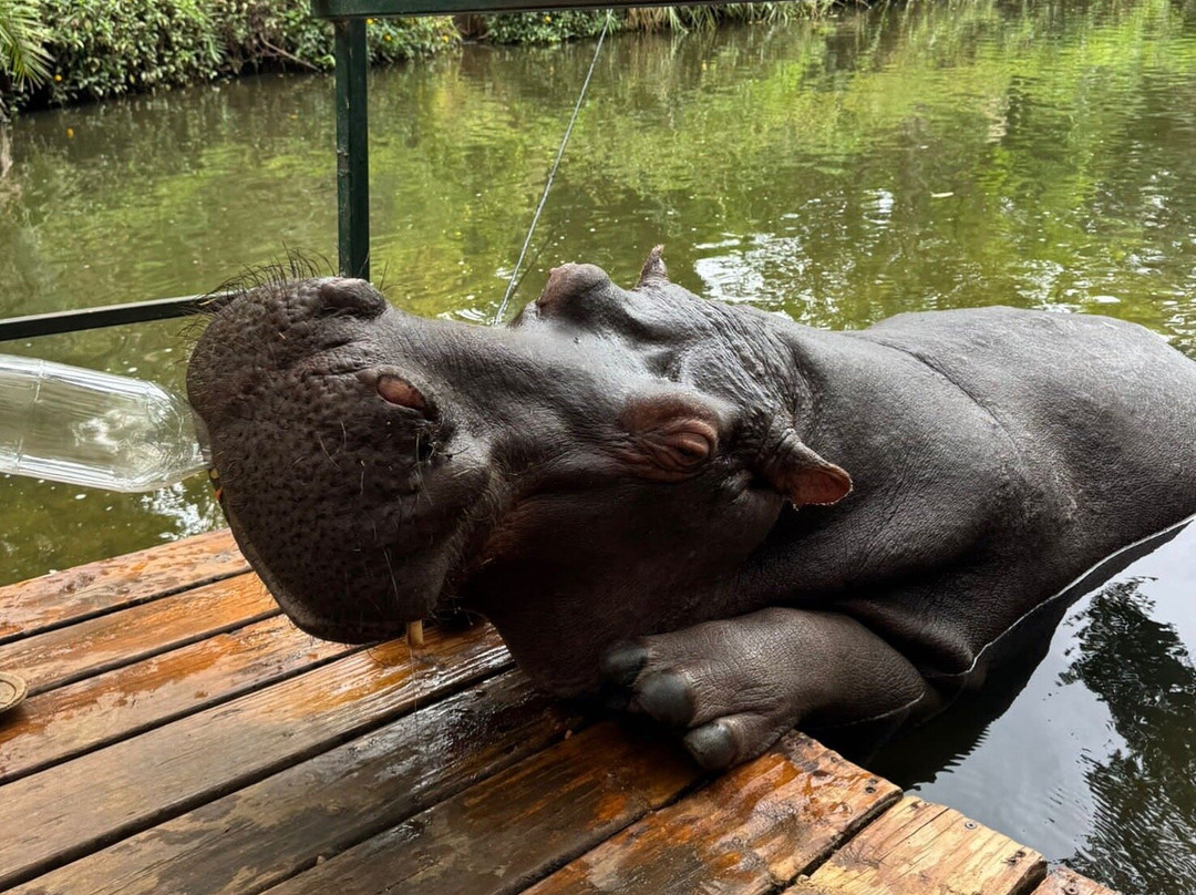 Hippo Jessica-霍德斯普鲁特必去景点