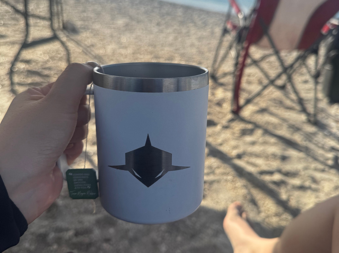 Shark Encounters Mexico-拉巴斯必去景点