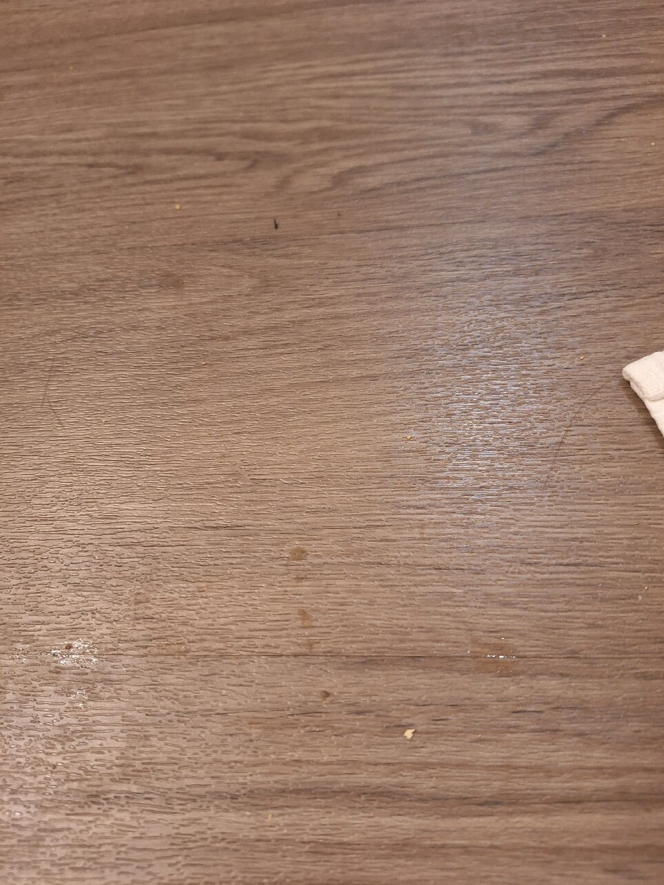 Best Western Plus Caldwell Inn & Suites-官方