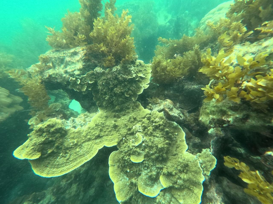 Batam Snorkeling Tour-Tembesi必去景点