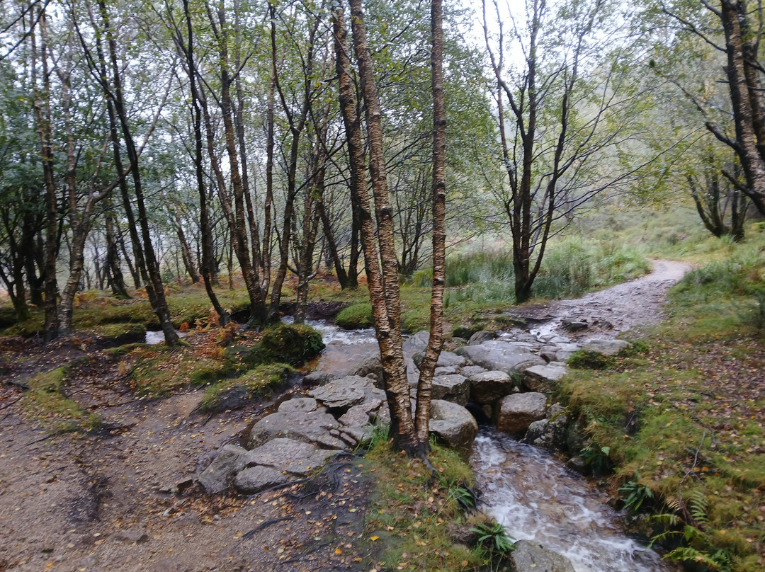 North Glen Sannox Trail-Sannox必去景点