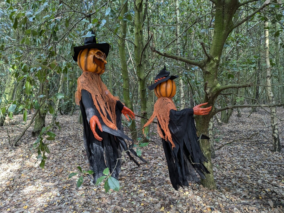 Betteshanger Park-迪奥必去景点