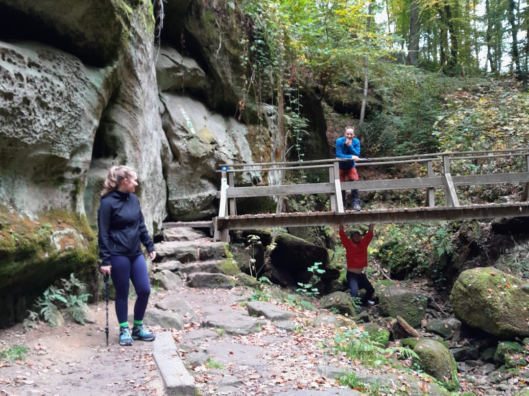 Mullerthal Trail-Mullerthal必去景点