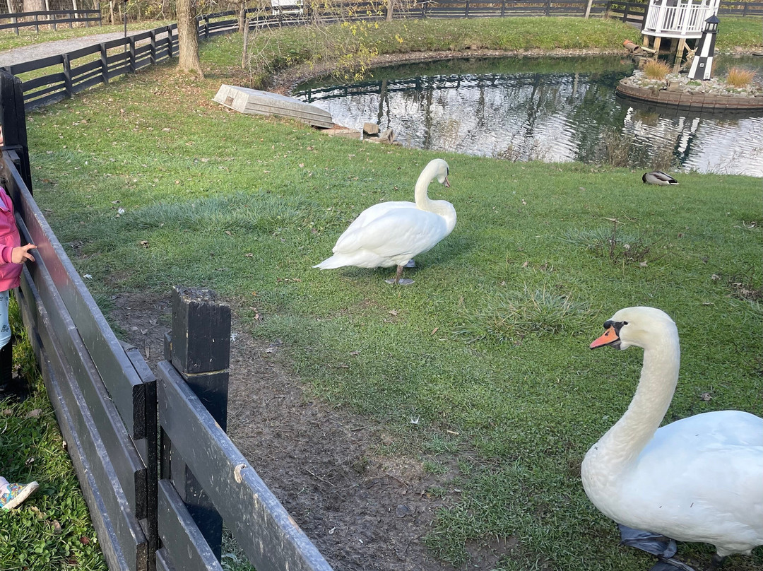 Fort Rickey Discovery Zoo-Rome必去景点