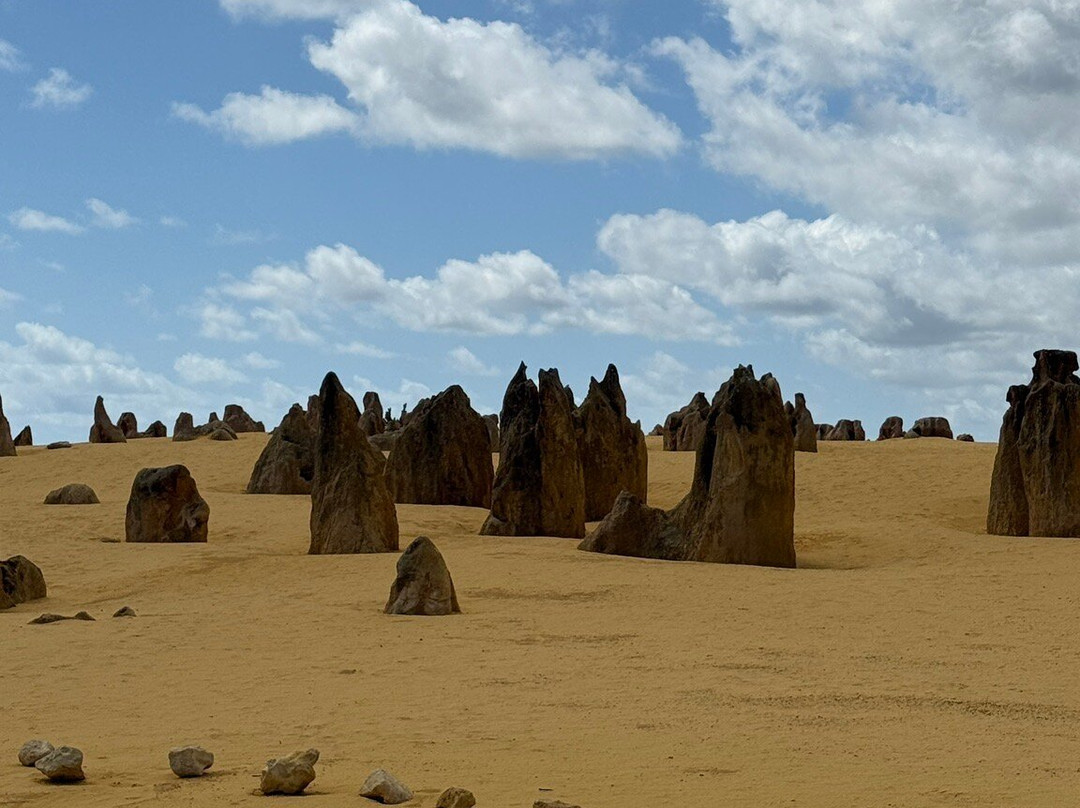The Pinnacles Desert-Nambung必去景点