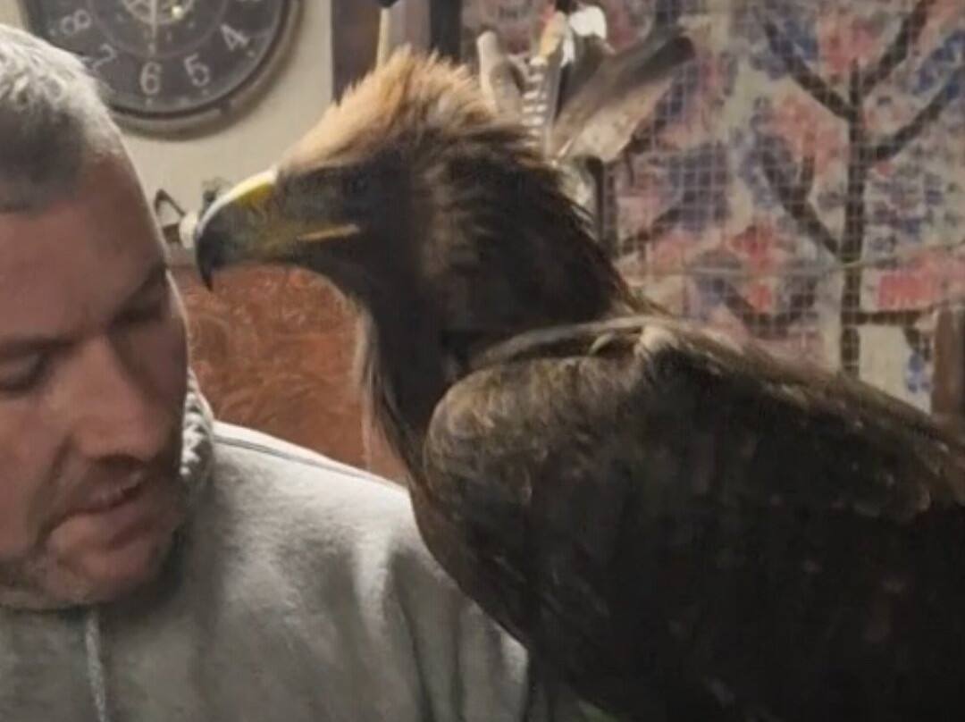 Riverside Falconry-纽卡斯尔必去景点