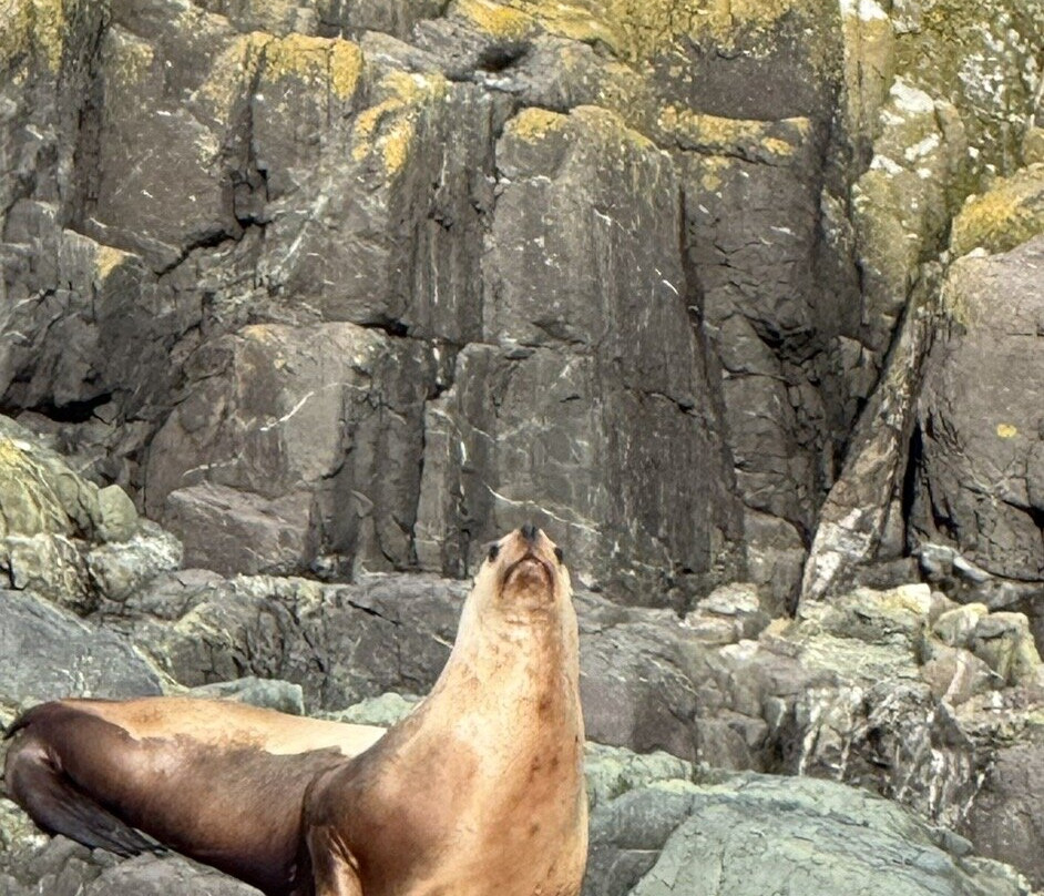 Wild Waterways Adventures-Quathiaski Cove必去景点