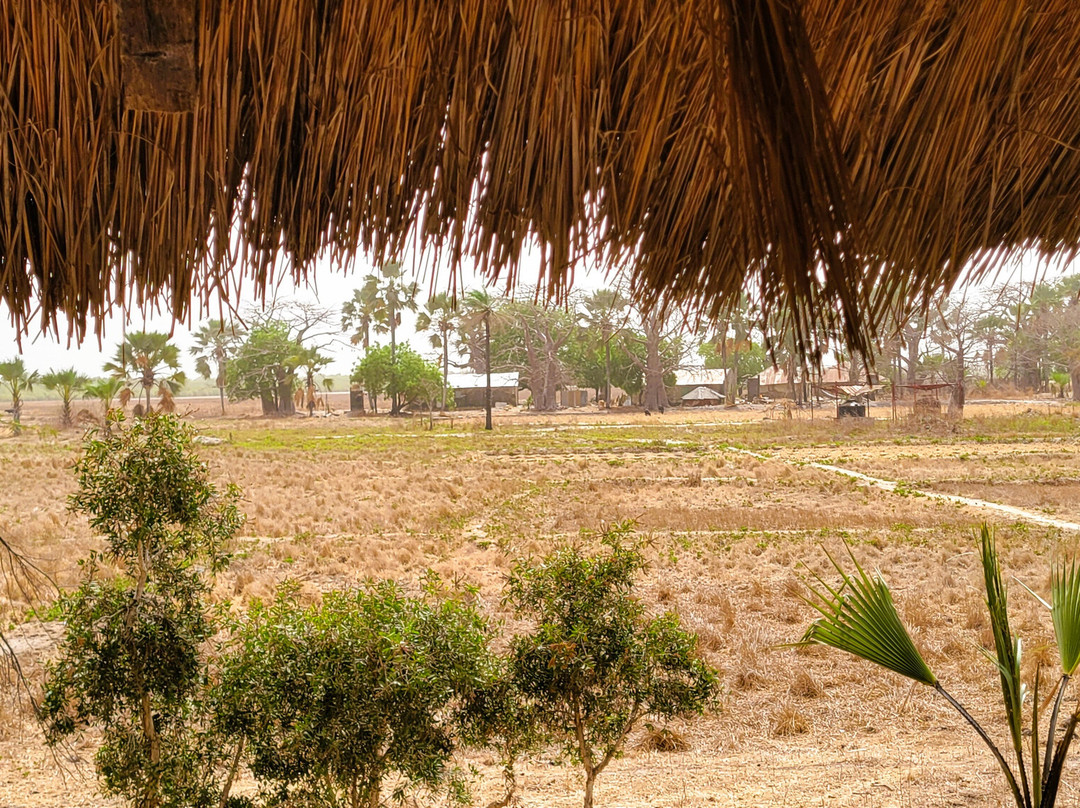 Casamance Au Present-济金绍尔必去景点