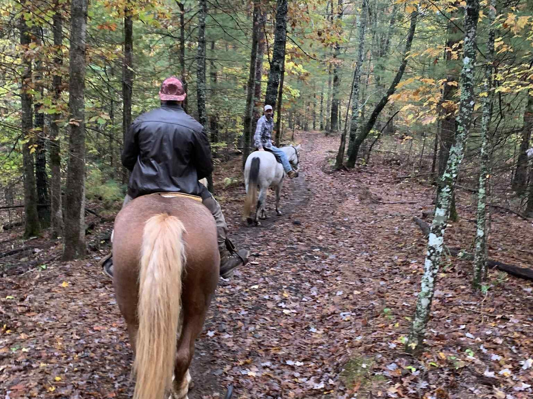 Appalachian Trail Rides-Mineral Bluff必去景点
