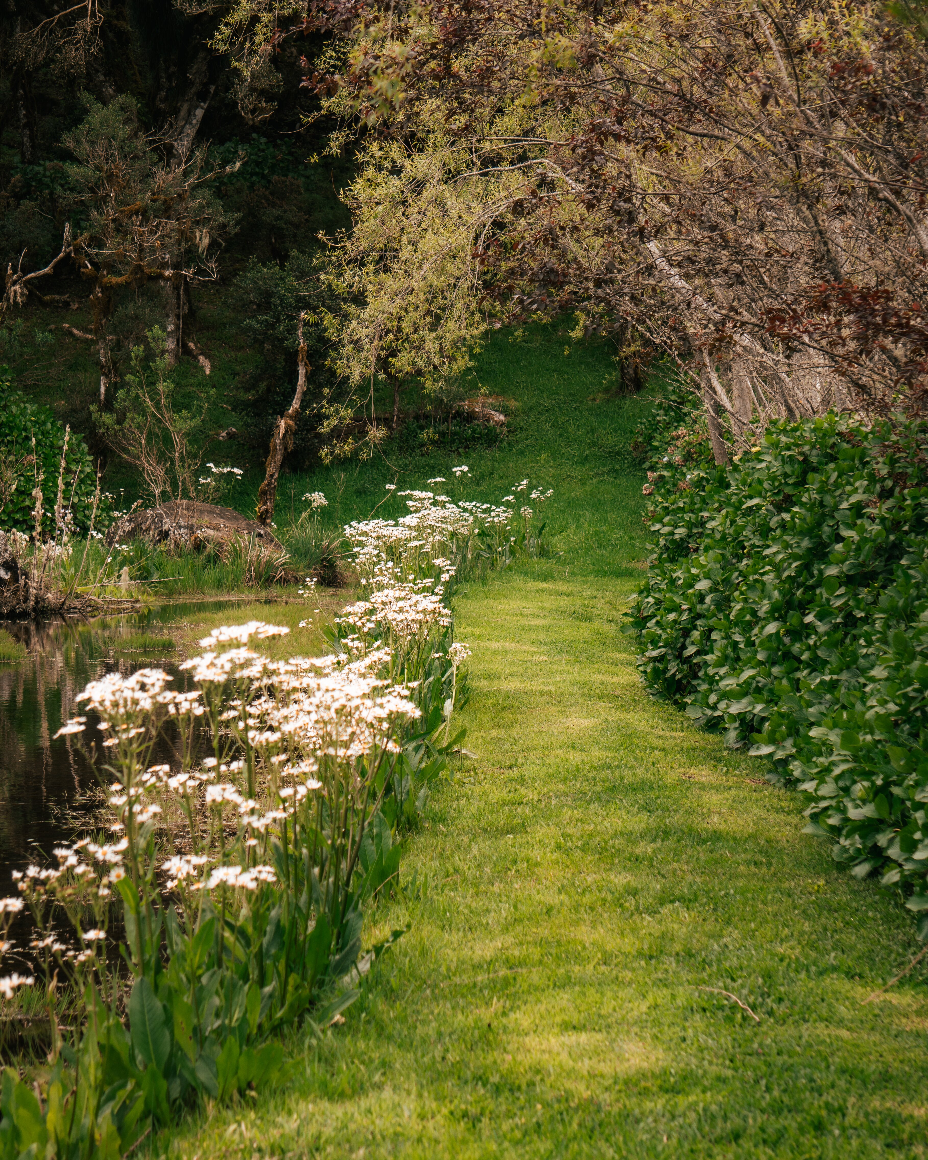 Pousada Cantos e Encantos-浴室