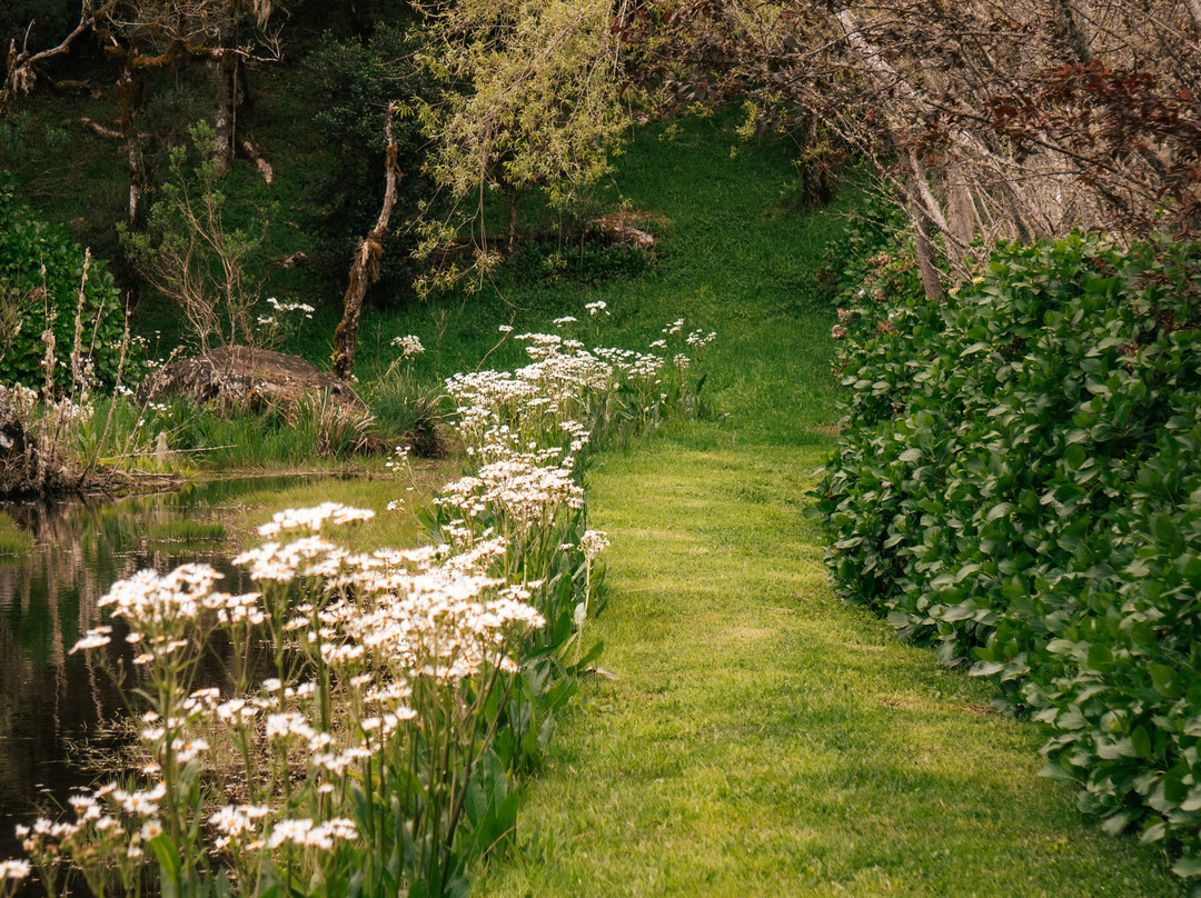Pousada Cantos e Encantos主图