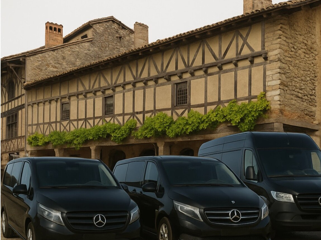 VTC Lyon Chauffeur Privé-里昂必去景点