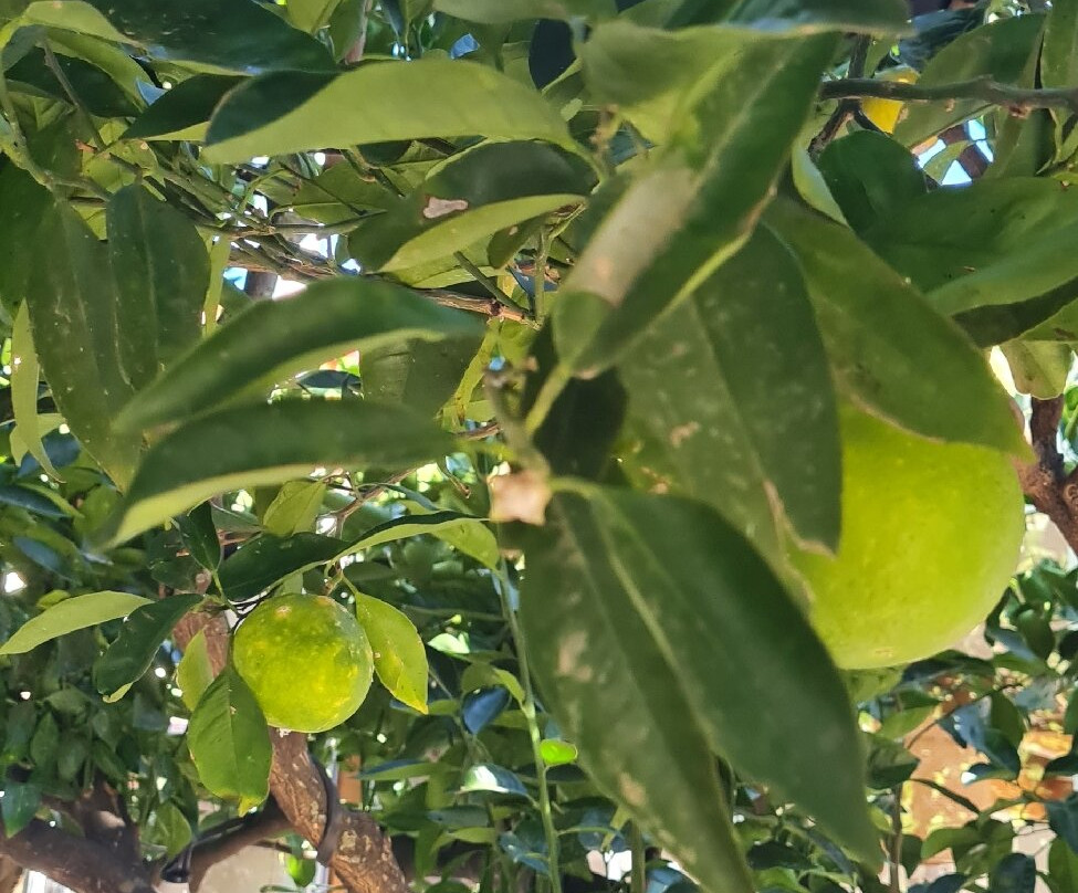 Safari Crete Experience-Agios Nikolaos必去景点