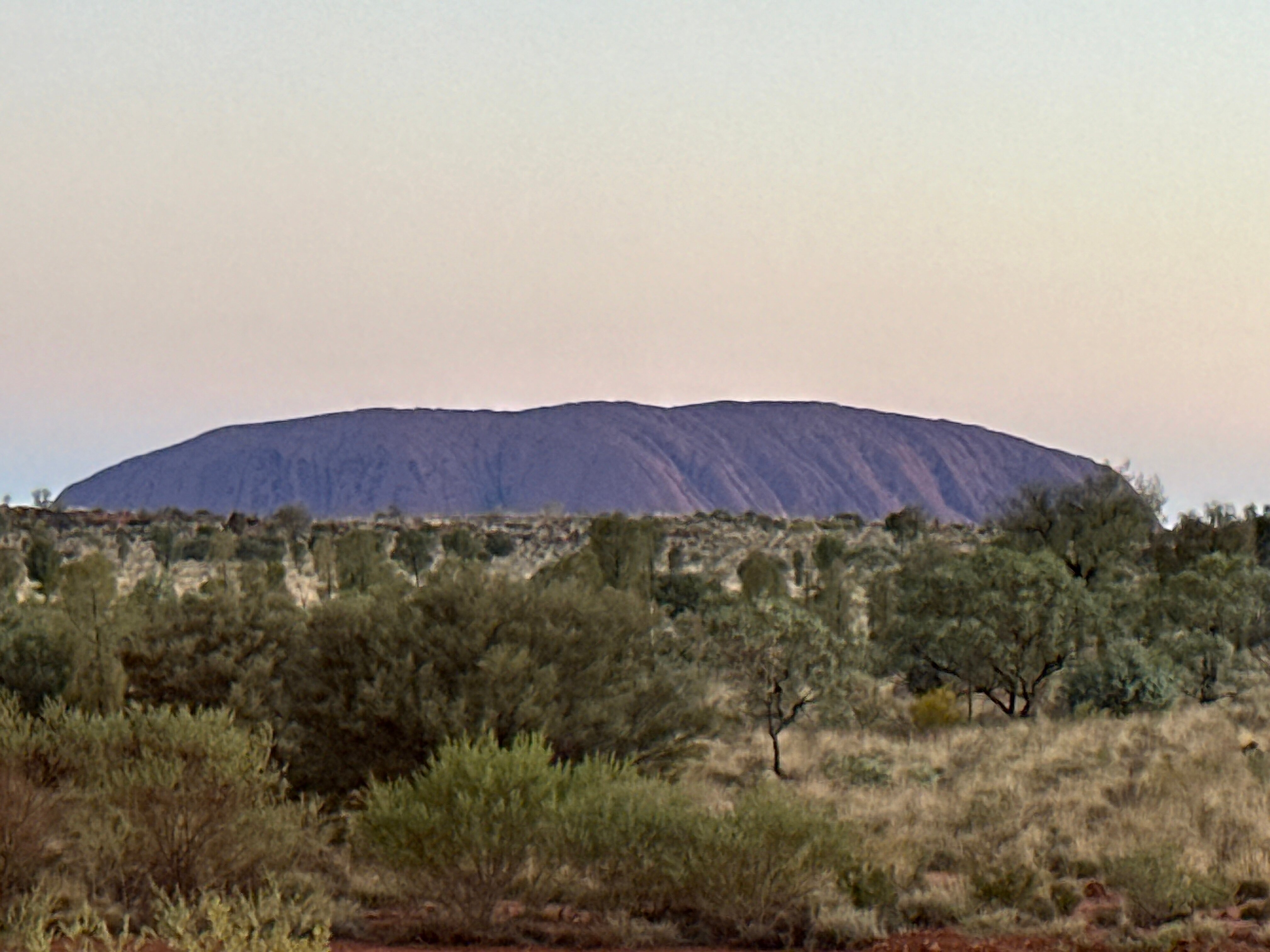 沙漠公园酒店-官方