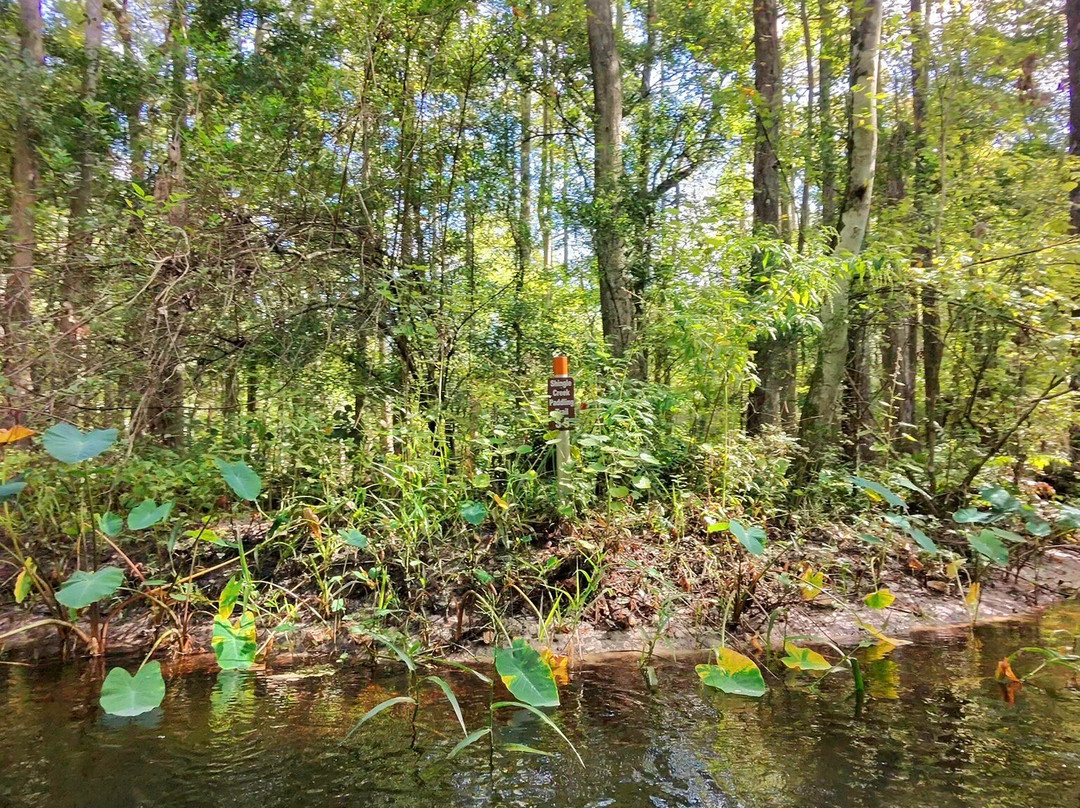 Shingle Creek Regional Park-基西米必去景点