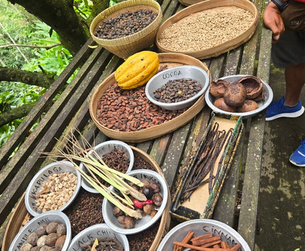 Guide Francophone à Bali - Madé B et équipes-沙努尔必去景点