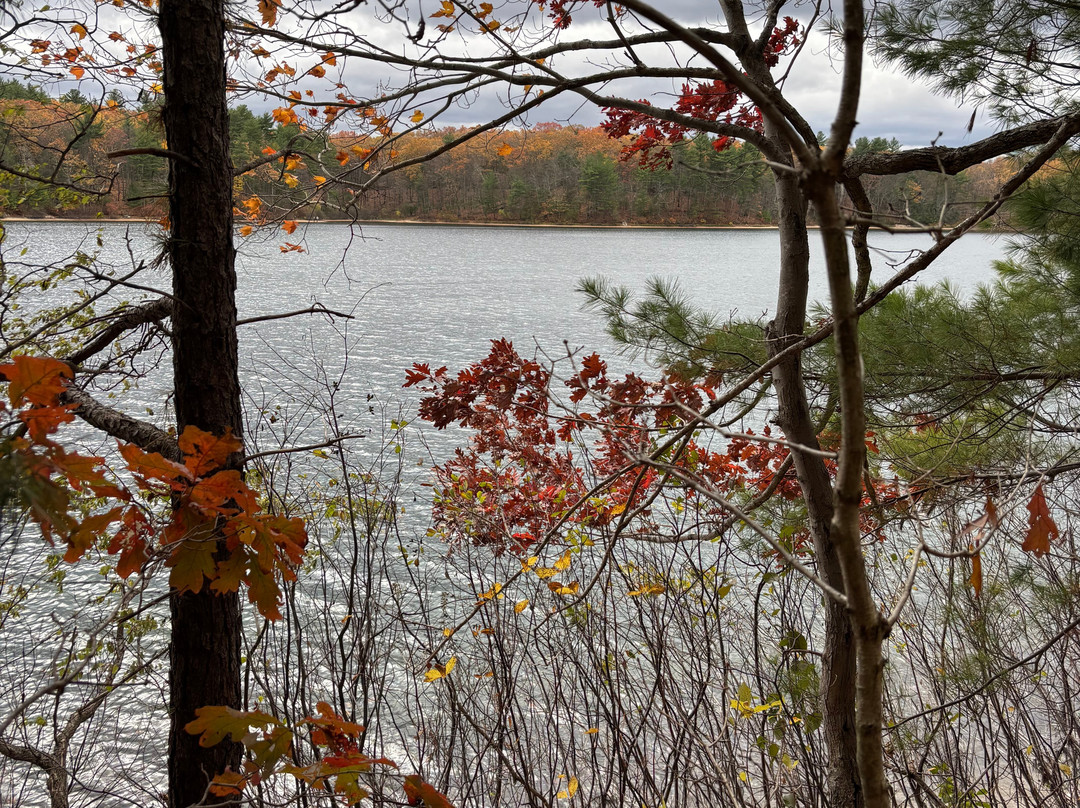 Thoreau House-康科德必去景点