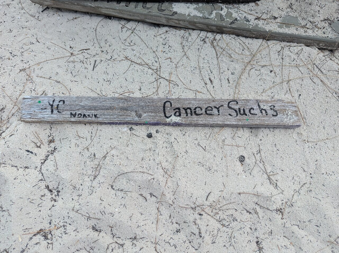 Chat 'N' Chill Bar-George Town必去景点