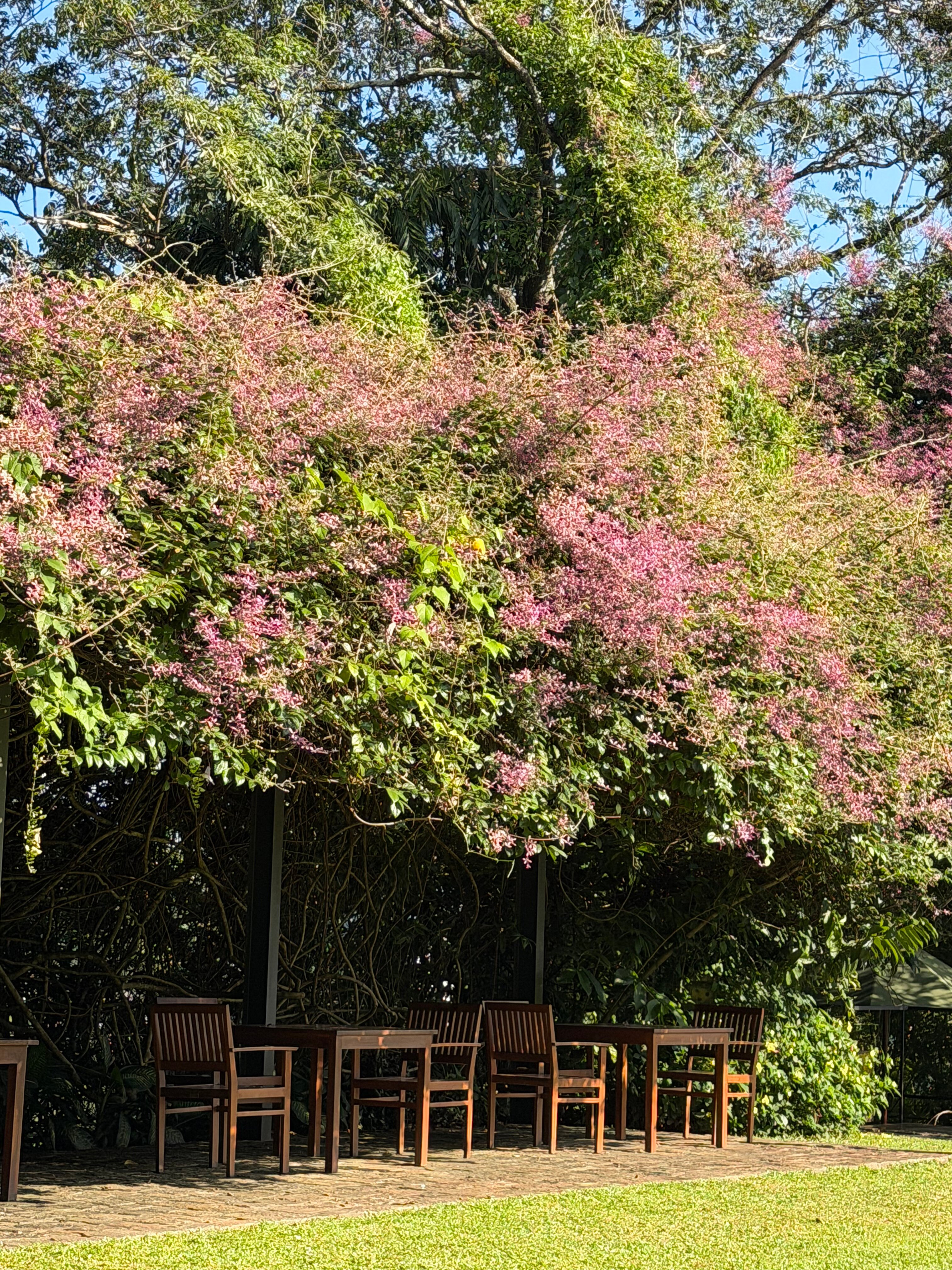 Kings Pavilion-浴室