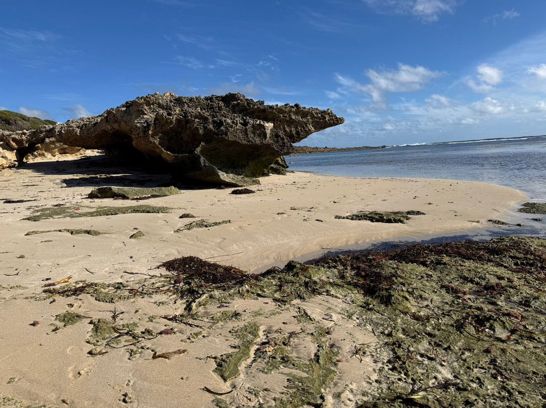 Yallingup Beach-雅林角必去景点