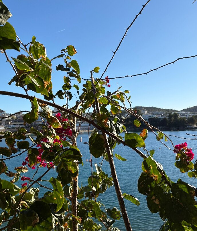 Africana Beach Club Ksamil Sarande-Ksamil必去景点