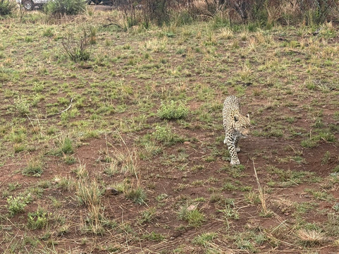 Exploriana Tours and Safaris-三图里恩必去景点
