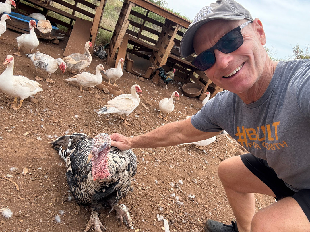 Maui Animal Farm-拉海纳必去景点