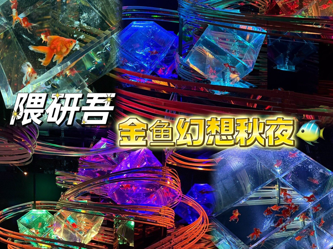 Art Aquarium-Ginza必去景点