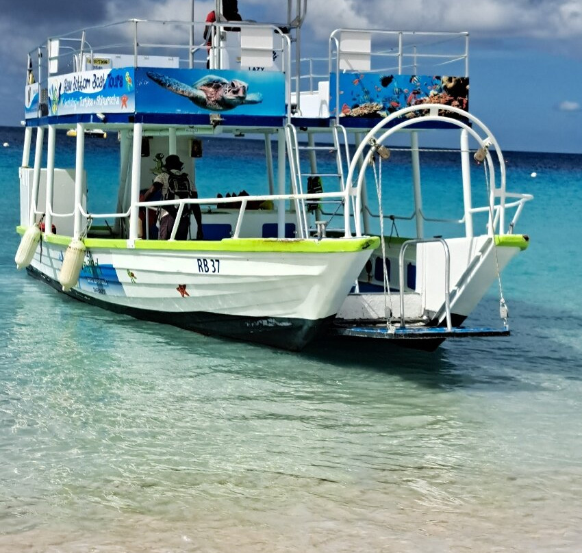 Lazy Lizard Water Adventures Barbados-布里奇顿必去景点