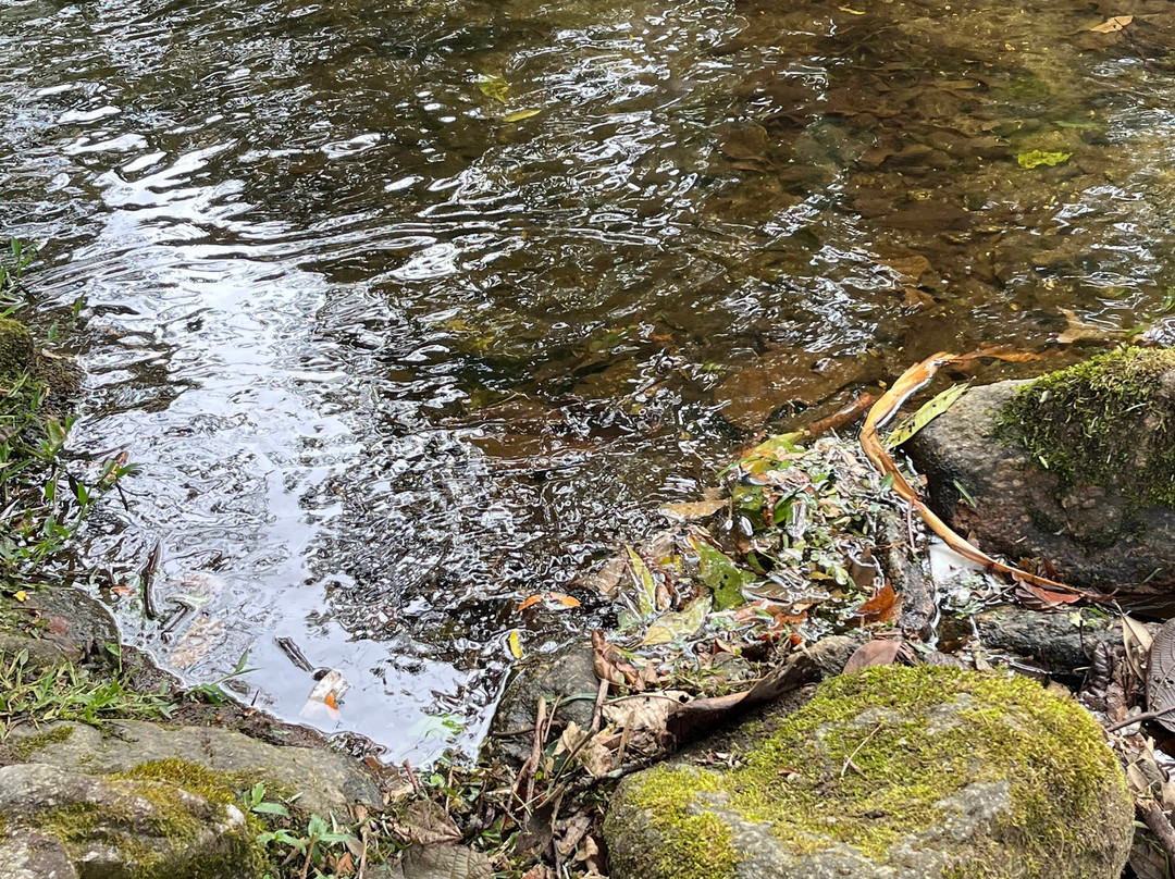 Vale do Alcantilado-Visconde de Maua必去景点