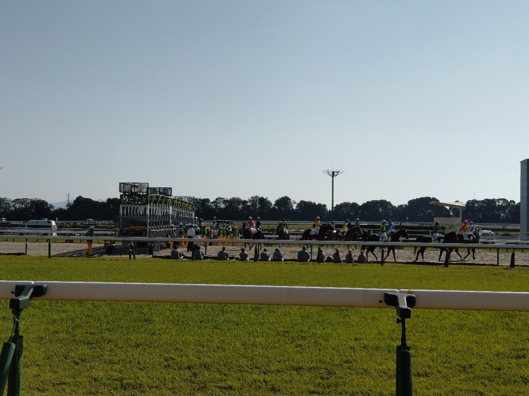 Kyoto Racecourse-京都市必去景点