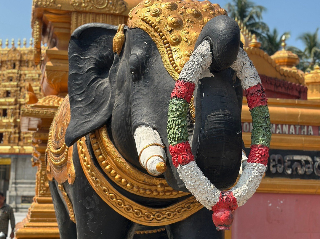 曼加尔生姜酒店主图