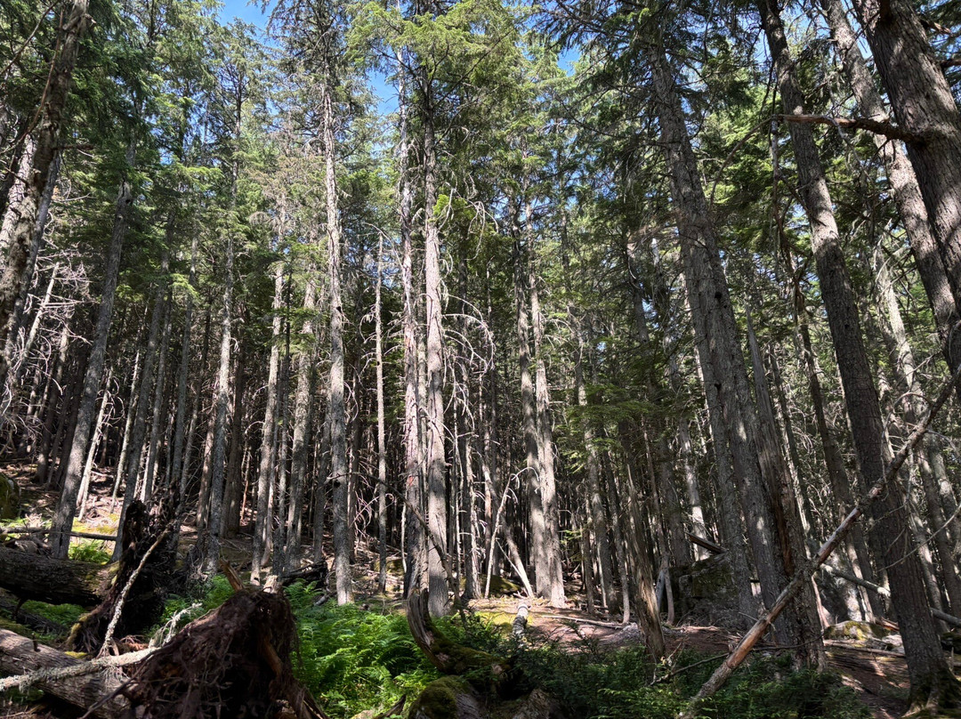 Glacier National Park-西格拉西尔必去景点