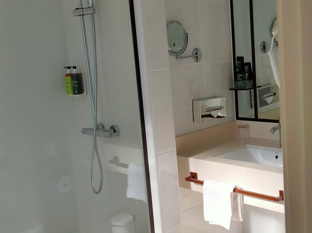 Sercotel Alfonso XIII主图