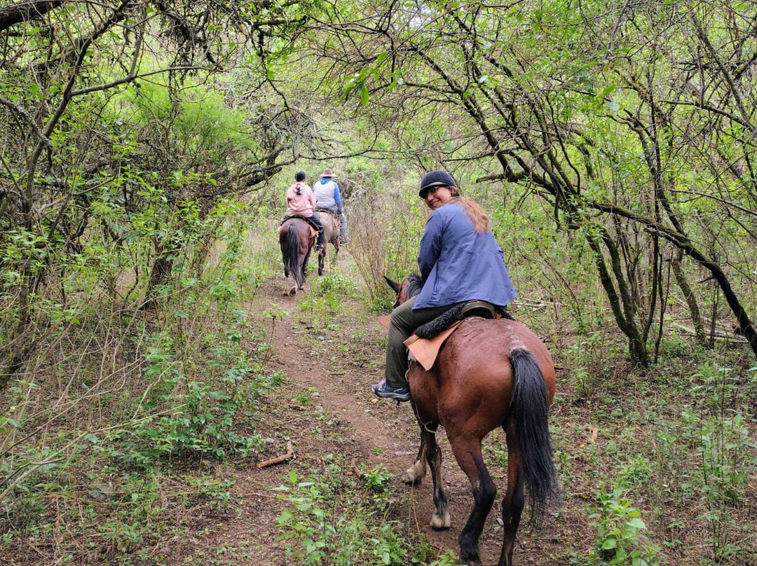 Cabalgatas Gauchas-萨尔塔必去景点