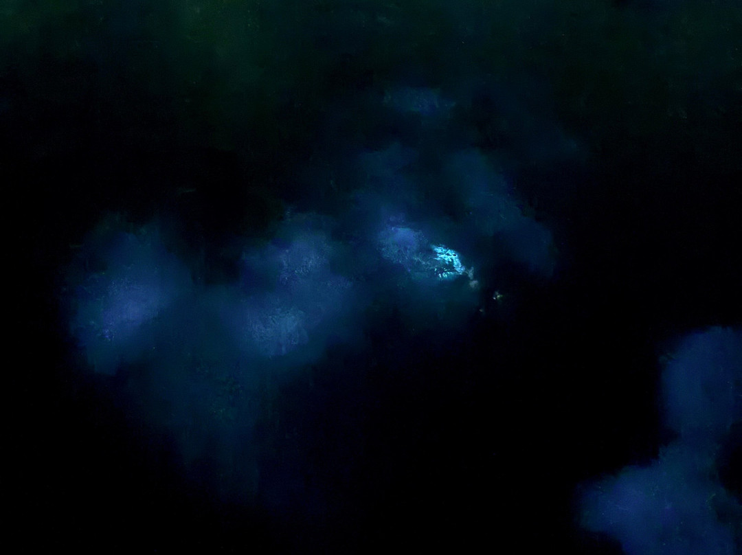 Parguera Eco Tours and Bio Bay-La Parguera必去景点