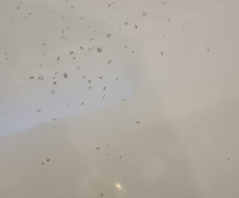 Hotel Clocchiatti Next主图