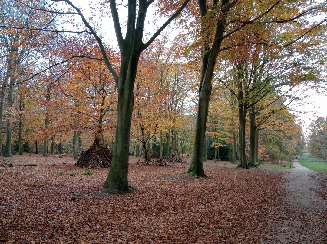 Felbrigg Hall-诺威奇必去景点