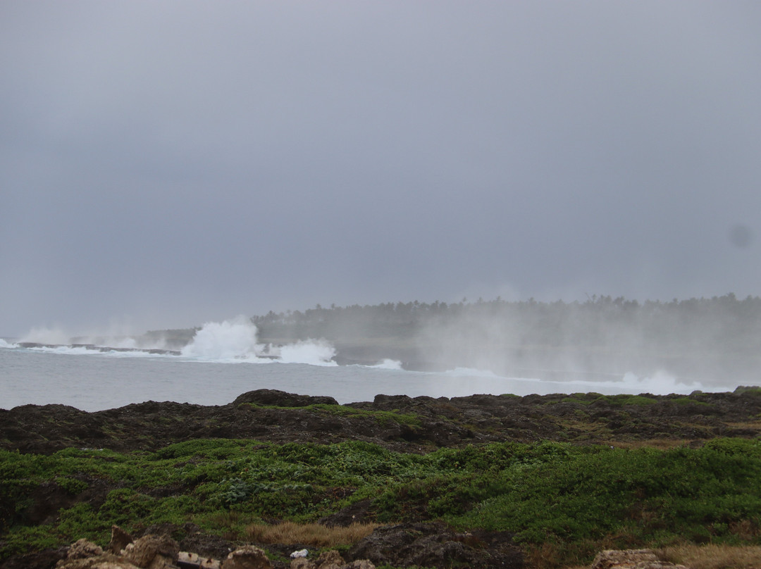 Mapu'a 'a Vaea Blowholes-Tongatapu Island必去景点