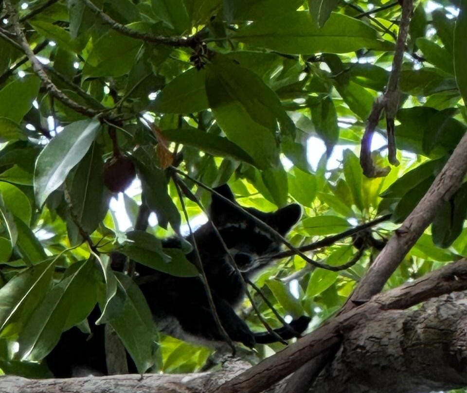 Reserva Natural Sanguare-Rincon del Mar必去景点