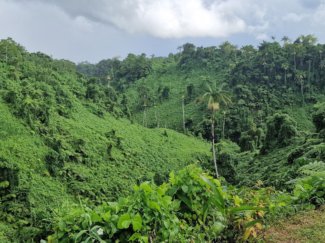 Fuipisia Waterfall-Upolu必去景点