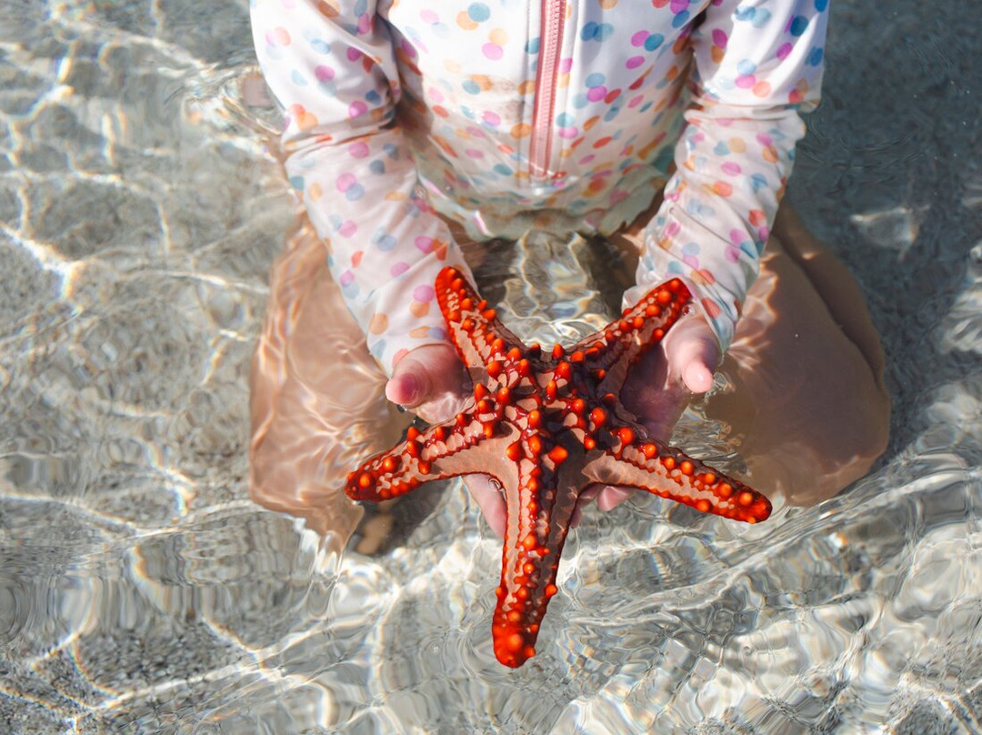 Sandarusi House主图