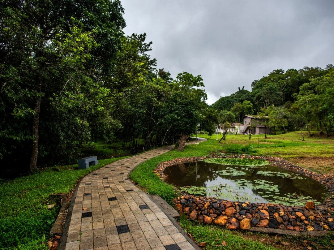 Abad Brookside Lakkidi主图