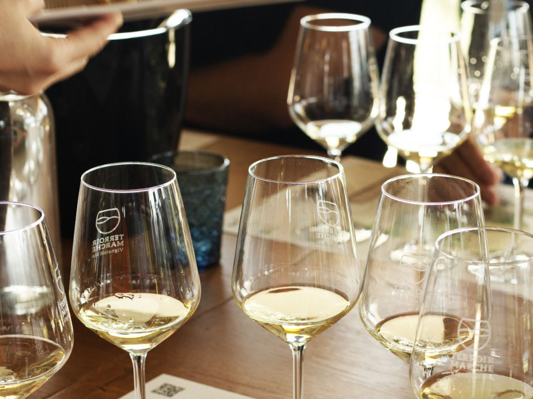 Vigneti Vallorani-Colli Del Tronto必去景点