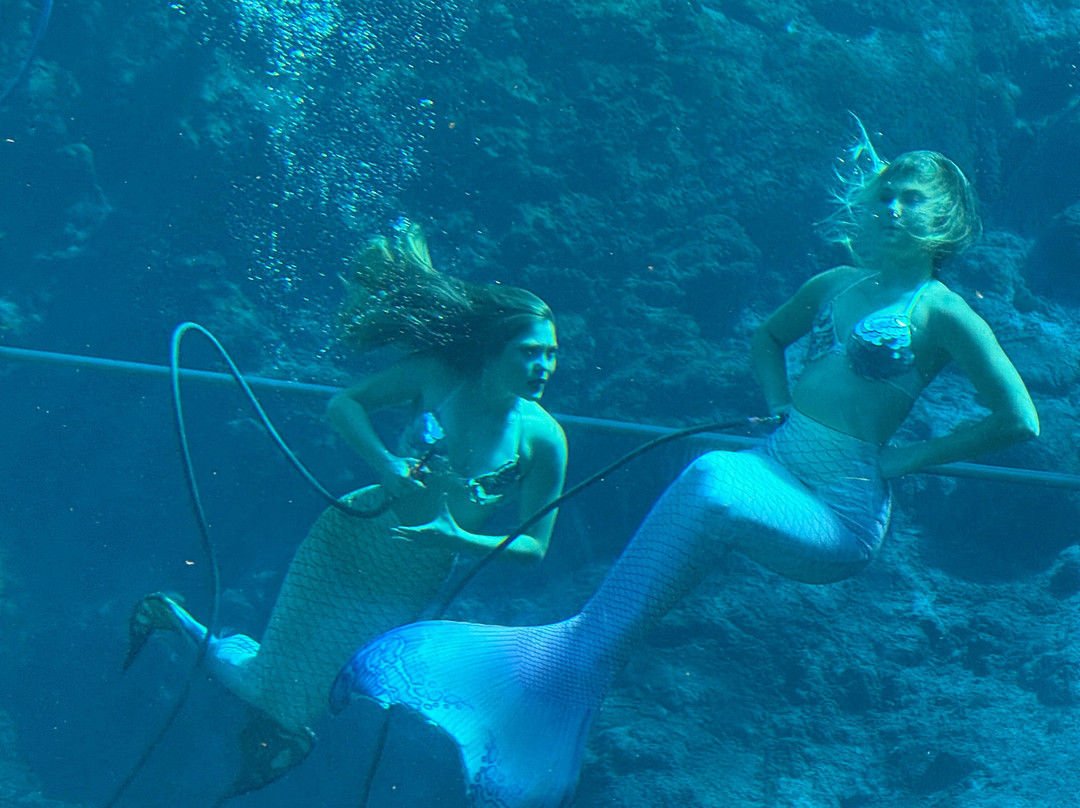 Weeki Wachee Springs State Park-Spring Hill必去景点